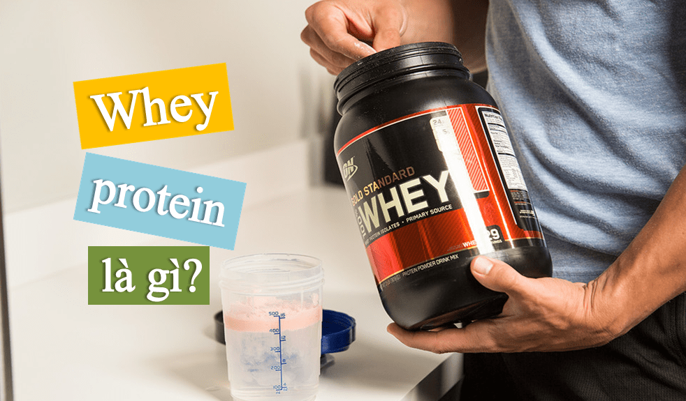 Lợi Ích Của Whey Protein