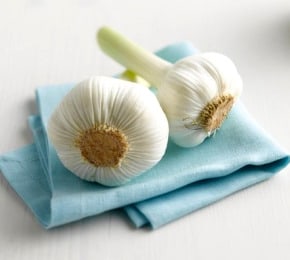 vien-uong-tinh-dau-toi-odor-control-garlic Tinh Dầu Tỏi Nature Made Odor Control Garlic 1250mg 100 viên